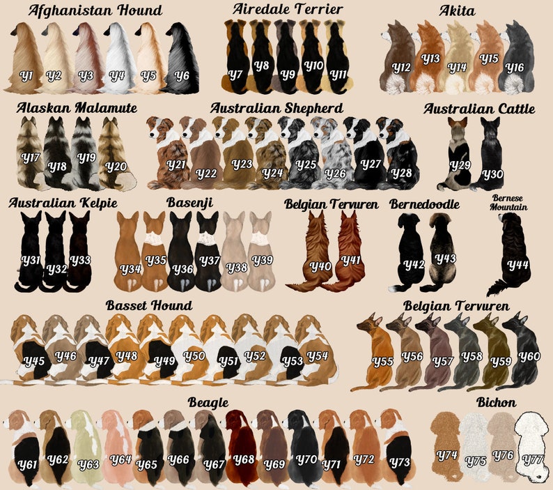Op de afbeelding: Een grafiek met illustraties van verschillende hondenrassen, elk met een uniek kleurenschema. De grafiek bevat rassen zoals de Afghaanse windhond, Airedale Terrier, Akita, Alaskan Malamute, Australian Shepherd, Australian Cattle Dog, Australian Kelpie, Basenji, Belgische herder, Bernedoodle, Berner Sennenhond, Basset Hound, Beagle en Bichon Frise.