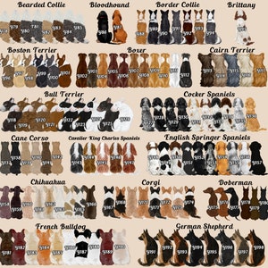Op de afbeelding: Een grafiek met illustraties van verschillende hondenrassen, waaronder een Bearded Collie, Bloodhound, Border Collie, Brittany, Boston Terrier, Boxer, Cairn Terrier, Bull Terrier, Cocker Spaniel, Cane Corso, Cavalier King Charles Spaniel, English Springer Spaniel, Chihuahua, Corgi, Dobermann, Franse Bulldog en Duitse Herder. Elk ras is gelabeld met zijn naam en een nummer.