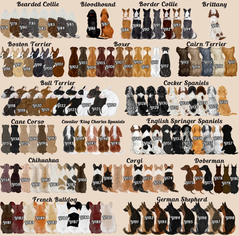 Op de afbeelding: Een grafiek met illustraties van verschillende hondenrassen, waaronder een Bearded Collie, Bloodhound, Border Collie, Brittany, Boston Terrier, Boxer, Cairn Terrier, Bull Terrier, Cocker Spaniel, Cane Corso, Cavalier King Charles Spaniel, English Springer Spaniel, Chihuahua, Corgi, Dobermann, Franse Bulldog en Duitse Herder. Elk ras is gelabeld met zijn naam en een nummer.