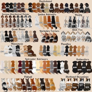 Op de afbeelding: Een diagram met illustraties van verschillende hondenrassen, waaronder teckel, Duitse Korthaar, Golden Retriever, Husky, Duitse Dog, Yorkshire Terri&euml;r, Shih Tzu, Havanais, Poedel, Labrador Retriever, Rottweiler, Pitbull en Shetland Sheepdog. Elk ras is gelabeld met zijn naam en heeft een raster met genummerde vierkanten die individuele honden voorstellen.