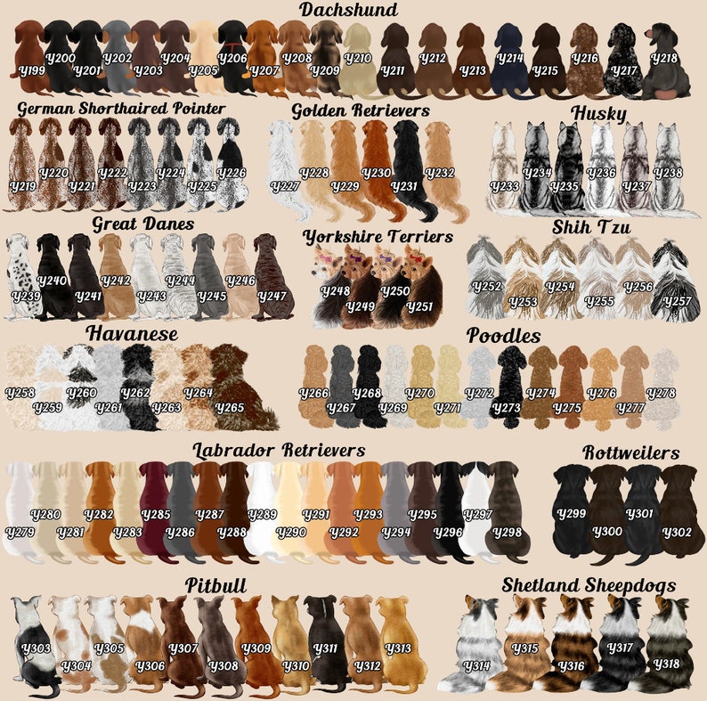 Op de afbeelding: Een diagram met illustraties van verschillende hondenrassen, waaronder teckel, Duitse Korthaar, Golden Retriever, Husky, Duitse Dog, Yorkshire Terri&euml;r, Shih Tzu, Havanais, Poedel, Labrador Retriever, Rottweiler, Pitbull en Shetland Sheepdog. Elk ras is gelabeld met zijn naam en heeft een raster met genummerde vierkanten die individuele honden voorstellen.