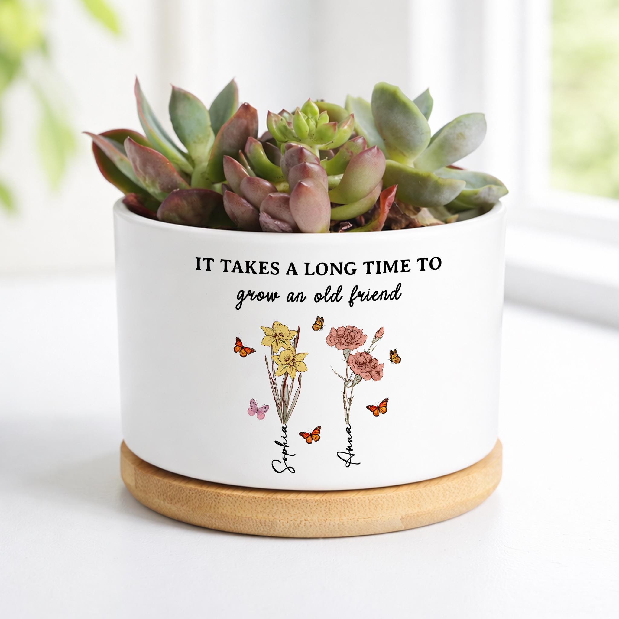 WZTHLF Cesto Portavasi In Paglia Intrecciata A Mano – Decorazione Naturale Per Interni (Marrone, Medio 30x26 Cm) - 3