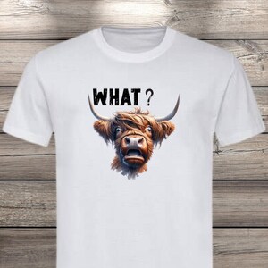 What?! Highland Cow T-Shirt - Confused but Cute! image 9