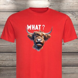 What?! Highland Cow T-Shirt - Confused but Cute! image 7