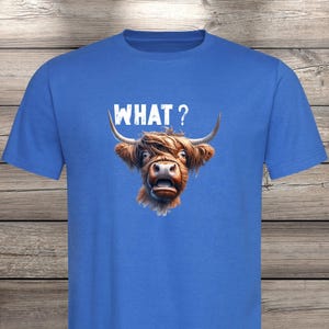 What?! Highland Cow T-Shirt - Confused but Cute! image 11