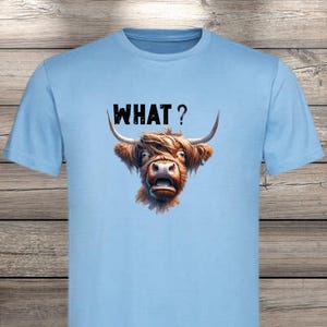 What?! Highland Cow T-Shirt - Confused but Cute! image 4