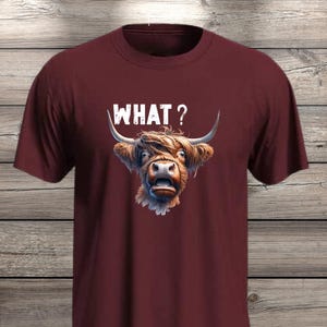 What?! Highland Cow T-Shirt - Confused but Cute! image 10