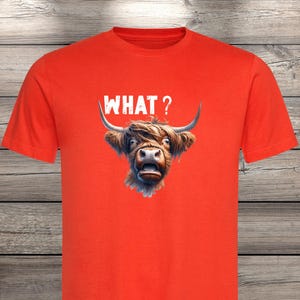 What?! Highland Cow T-Shirt - Confused but Cute! image 2