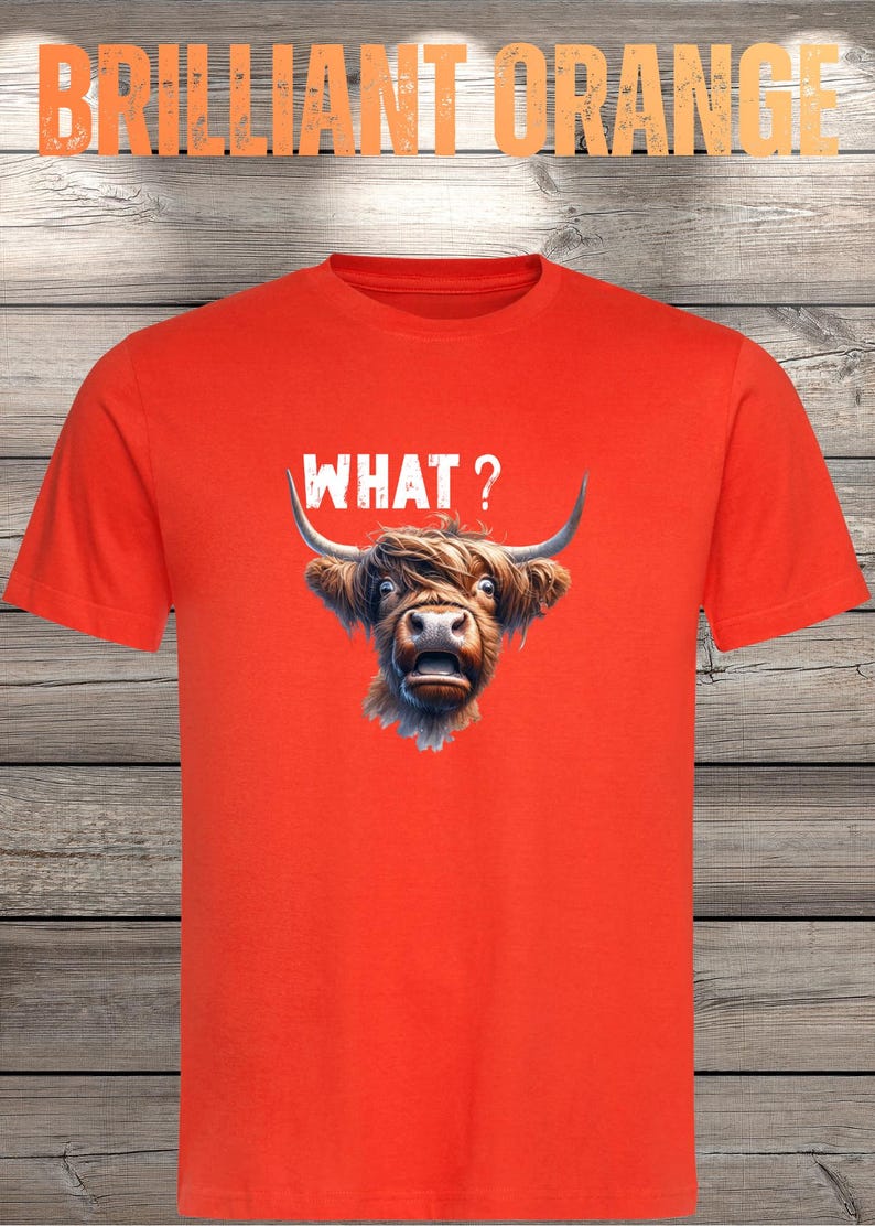 What?! Highland Cow T-Shirt - Confused but Cute! image 2
