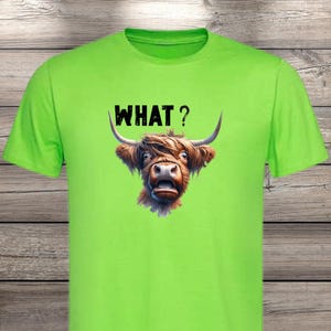 What?! Highland Cow T-Shirt - Confused but Cute! image 15