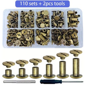Pode incluir: Um conjunto de 110 rebites e parafusos de metal em tom de bronze, organizados num recipiente de armazenamento de plástico transparente com 8 compartimentos. O conjunto inclui duas ferramentas de metal, um punção e uma chave de fendas.