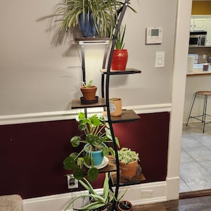 7-Tier Plant Stand with Grow Lights: Modern Indoor Corner Plant Shelf