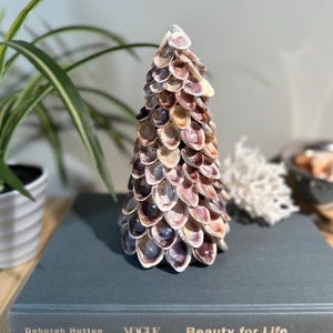 May include: A decorative Christmas tree made of seashells. The tree is a cone shape and is made of many different types of seashells in shades of brown, white, and purple.