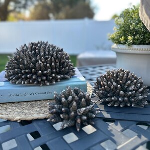 May include: Three clusters of small, brown, cone-shaped shells arranged on a black table with a book titled "All the Light We Cannot See" by Anthony Doerr.
