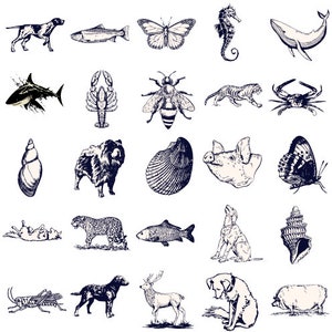 Animal based digital stickers