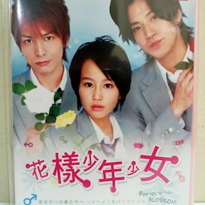 Japanse drama-dvd voor jou in volle bloei (deel 1-12 einde), Engelse ondertiteling en alle regio's ~ Gratis DHL Express