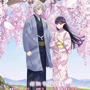 Dvd Anime Watashi No Shiawase Na Kekkon Seizoen 2 (1-13Einde + OVA) - Complete boxset Engels nagesynchroniseerd en alle regio's: gratis DHL Express