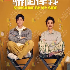 Chinese dramaserie Sunshine By My Side 骄阳伴我(1-36Einde)~ complete dvd-boxset ~ Engelse ondertiteling en regiovrij DHL Express