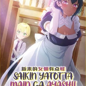 Anime-dvd ~ Saikin Yatotta Maid Ga Ayashii (1-11 End) met Engels nagesynchroniseerd en regiovrij DHL EXPRESS