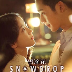 Dvd Koreaanse dramaserie sneeuwklokje (1-16 einde) (Blackpink Jisoo) Engelse ondertitels Alle regio's ~ complete dvd-boxset ~ Gratis DHL Express