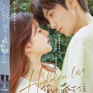Dvd Chinees drama Hidden Love 偷偷藏不住 (deel 1-25 einde) complete boxset, Engelse ondertiteling en alle regio's ~ Gratis DHL Express
