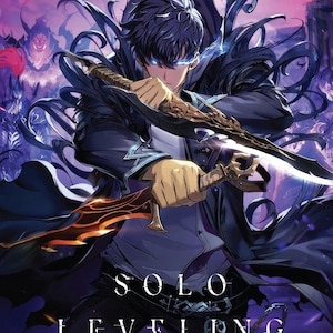 Dvd-anime, level-up en tv-serie, seizoen 1+2, deel 1-25, complete boxset, Engels nagesynchroniseerd en alle regio's: gratis DHL Express