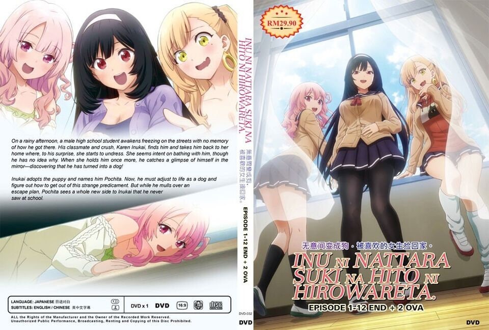 DVD Anime Majutsushi Orphen Hagure Tabi (Season 1+2) (1-24 End +OVA)  English Dub