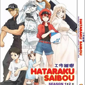 Dvd-anime Hataraku Saibou!! Seizoen 1+2+zwart (volume 1-34 einde+film+OVA) Engels nagesynchroniseerd en alle regio's: complete boxset ~ Gratis DHL Express