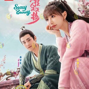 DVD Chinese Drama 潇洒佳人淡淡妆 Sassy Beauty (1-24 End) Engelse ondertiteling, alle regio's ~ Gratis DHL Express
