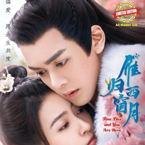 Chinees drama~De tijd vliegt en je bent hier 雁归西窗月(1-32End)Engelse ondertiteling en alle regio's~ Gratis DHL Express