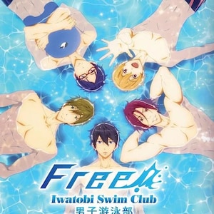 Dvd-anime gratis! Iwatobi Swim Club compleet seizoen 1+2+3 (1-37)+ film Engelse nagesynchroniseerde dvd anime complete boxset ~ Gratis DHL Express