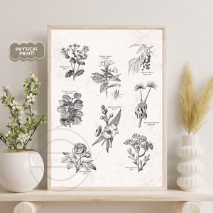 The Hunger Games Pflanzen und Blumen Poster | Flora von Die Tribute von Panem | Suzanne Collins | Physischer Druck