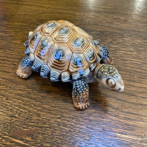 May include: A ceramic turtle figurine with a detailed, patterned shell in shades of brown, tan, and grey. The turtle's head and legs are also detailed with a similar colour palette. The figurine is a decorative item.