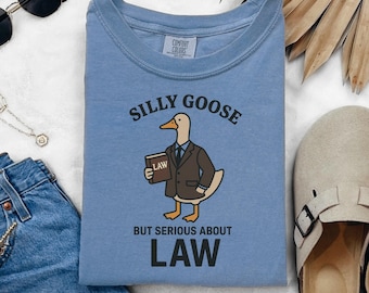 面白い弁護士シャツ - 法律ユーモアギフト、弁護士Tシャツ、法学生へのプレゼント、法廷服装、弁護士