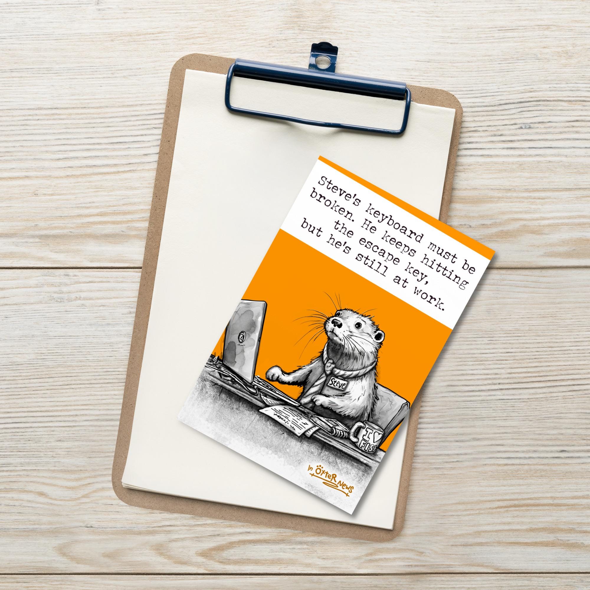 Steve Postcards