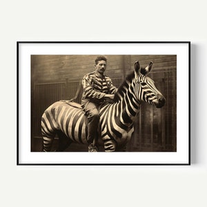 May include: Sepia-toned framed print featuring a man in a striped shirt and pants riding a zebra. The zebra has black and white stripes. The background includes a fence and a wooden structure.
