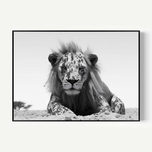 Lion Black and White Print, High Quality Art, Animal Wall Art, Animal Lovers,Lion Lovers Large Lion Poster Fine Art Painting for Living Room
