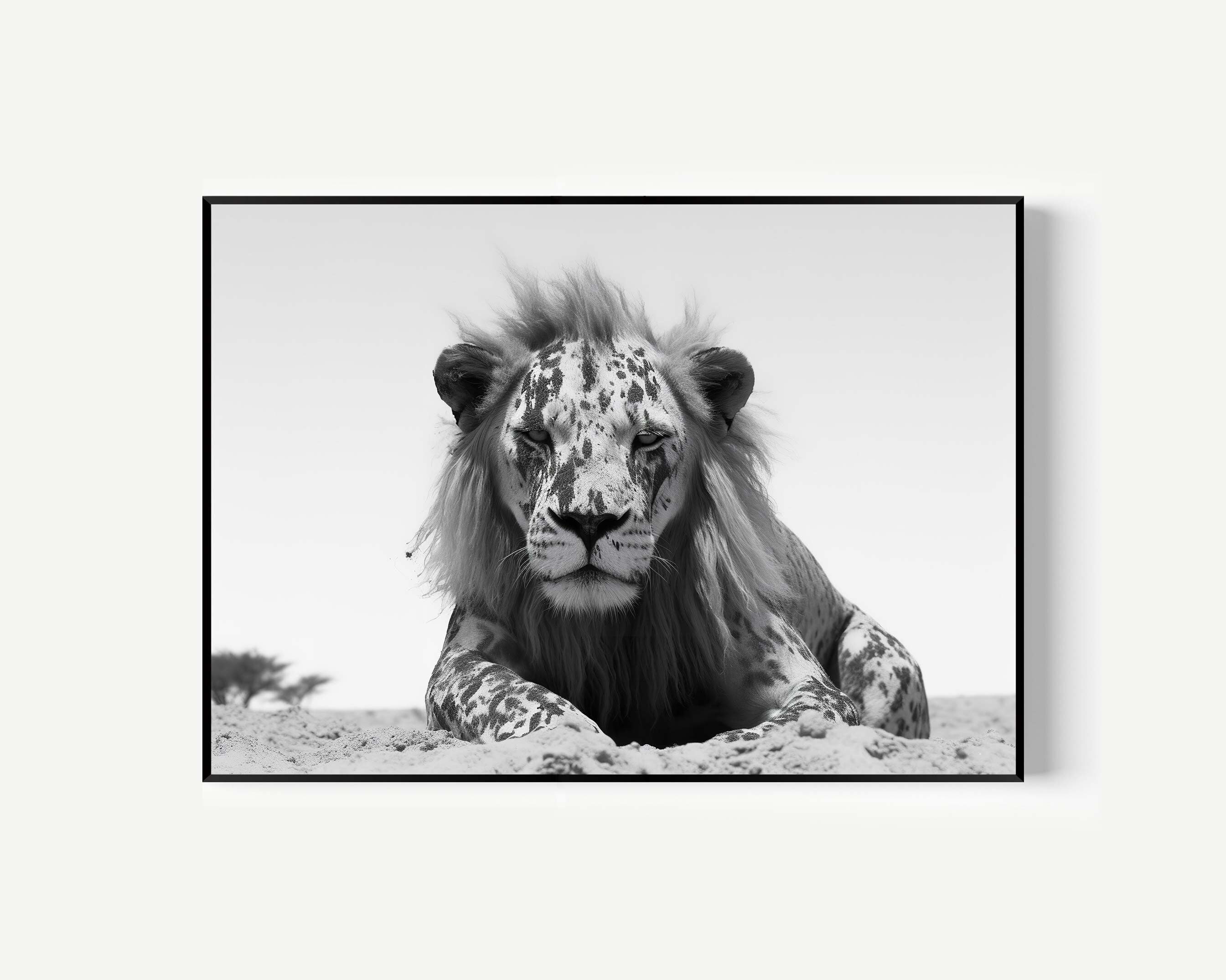 Lion Black and White Print, High Quality Art, Animal Wall Art, Animal Lovers,Lion Lovers Large Lion Poster Fine Art Painting for Living Room