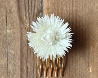 Peigne fleurs séchées perle