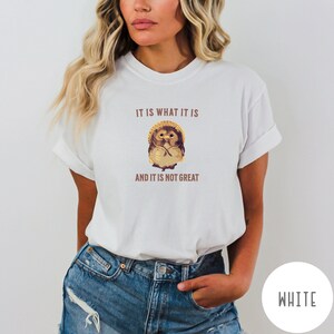 Shigaraki Tanuki (Racoon) T Shirt Japanese It Is What It Is and It Is Not Great Racoon Dog Japan Lucky Tanuki Comfort Colors Happy Funny image 7