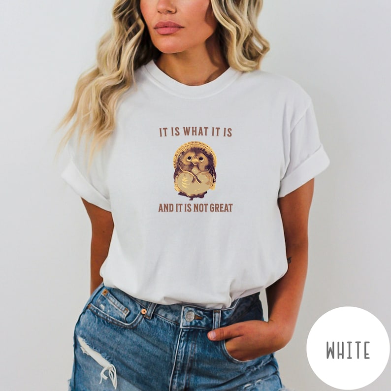 Shigaraki Tanuki (Racoon) T Shirt Japanese It Is What It Is and It Is Not Great Racoon Dog Japan Lucky Tanuki Comfort Colors Happy Funny image 7