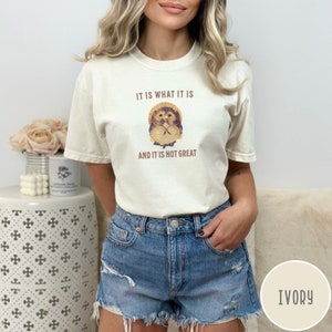 Shigaraki Tanuki (Racoon) T Shirt Japanese It Is What It Is and It Is Not Great Racoon Dog Japan Lucky Tanuki Comfort Colors Happy Funny image 5