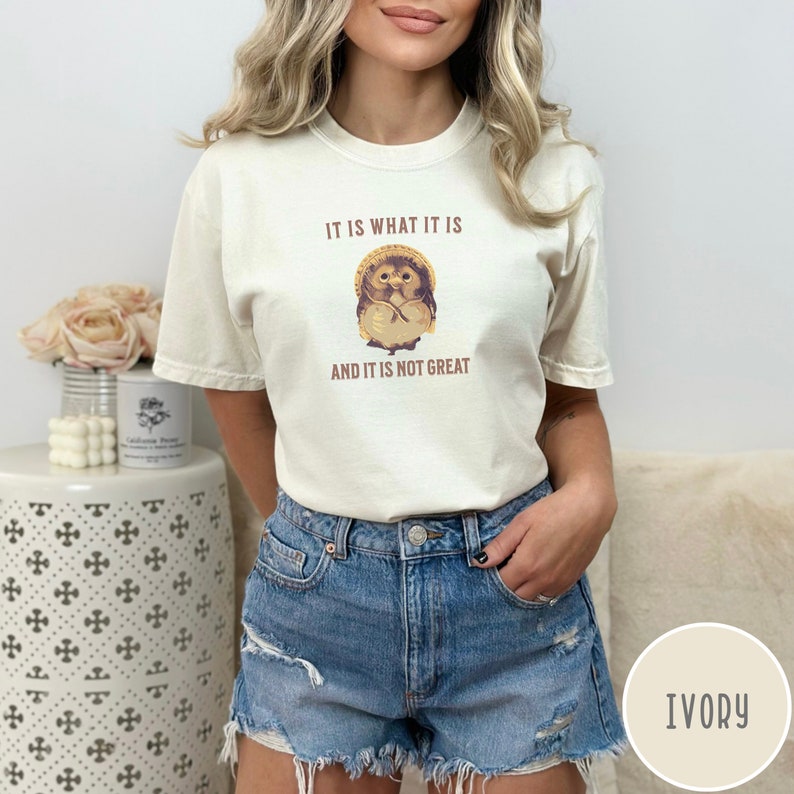 Shigaraki Tanuki (Racoon) T Shirt Japanese It Is What It Is and It Is Not Great Racoon Dog Japan Lucky Tanuki Comfort Colors Happy Funny image 5