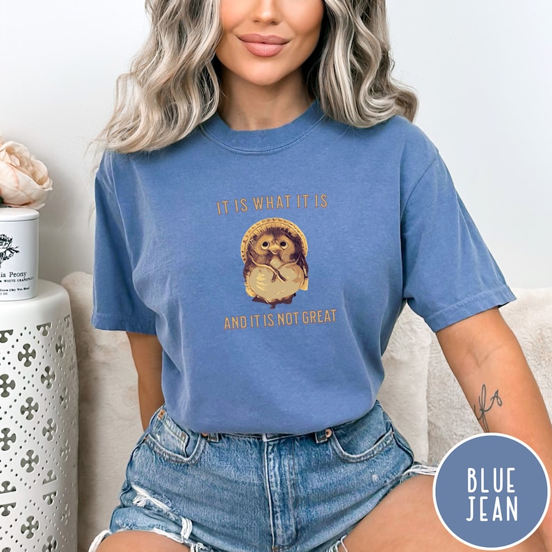 Shigaraki Tanuki (Racoon) T Shirt Japanese It Is What It Is and It Is Not Great Racoon Dog Japan Lucky Tanuki Comfort Colors Happy Funny image 3