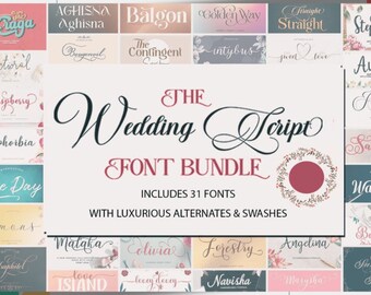 The Wedding Script Font Bundle, Handwritten Font, Wedding Font, Modern Font, Display Font, Cricut Font, Farmhouse Fonts, Rustic Fonts