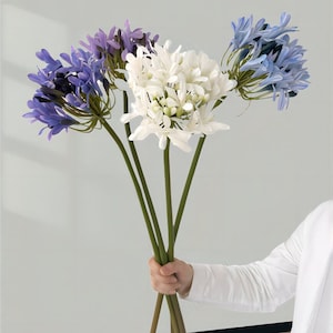 Long Stem Agapanthus Flower Stem, Home Floral Decoration, Nile Lily Flower Stem, Rustic Flower Craft, Party Arrangement