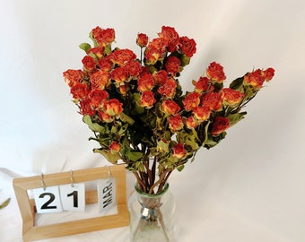 Dried Rose Bouquet, 30 Roses Head Bouquet, Dried Rose Bouquet, Dried Flower Arrangement, Desk Decoration Home Decor,