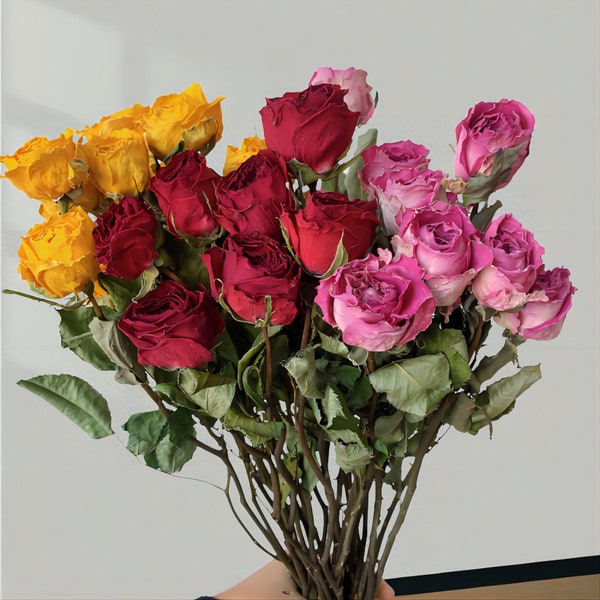 A bunch of dry roses dry flowers bouquets of simple retro bouquet -dry rose natural dry rose plant wedding roses