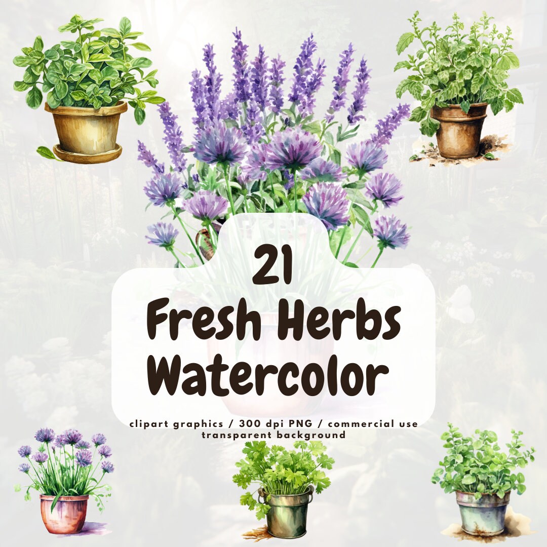 Watercolor Fresh Herbs Clipart, 20 High Quality Pngs, Herb Garden