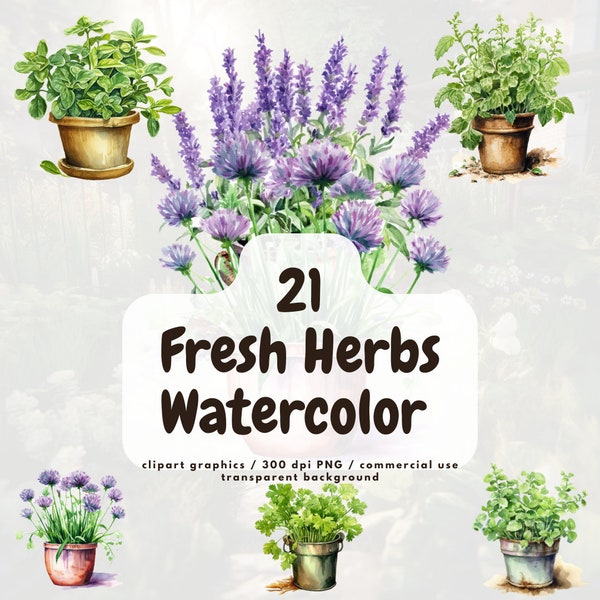 Watercolor Fresh Herbs Clipart, 20+ High Quality PNGs, Herb garden, kitchen clipart, cooking clipart, culinary herbs png, printable graphics